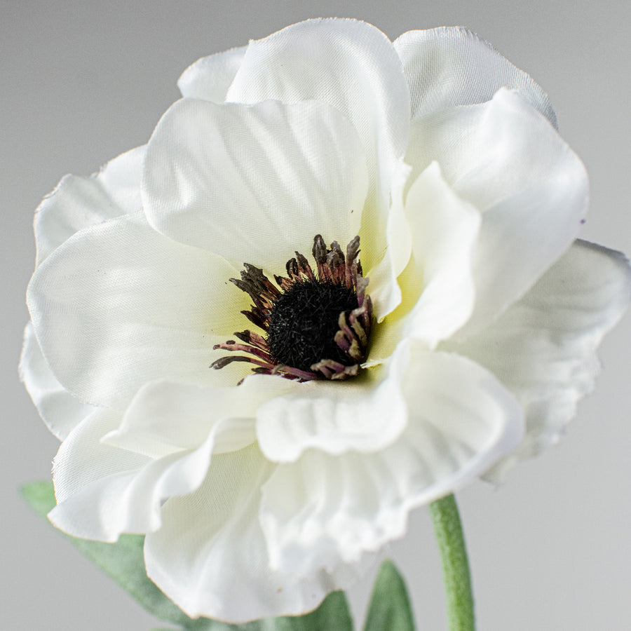 17" Poppy Stem: Cream Lifestyle Photo