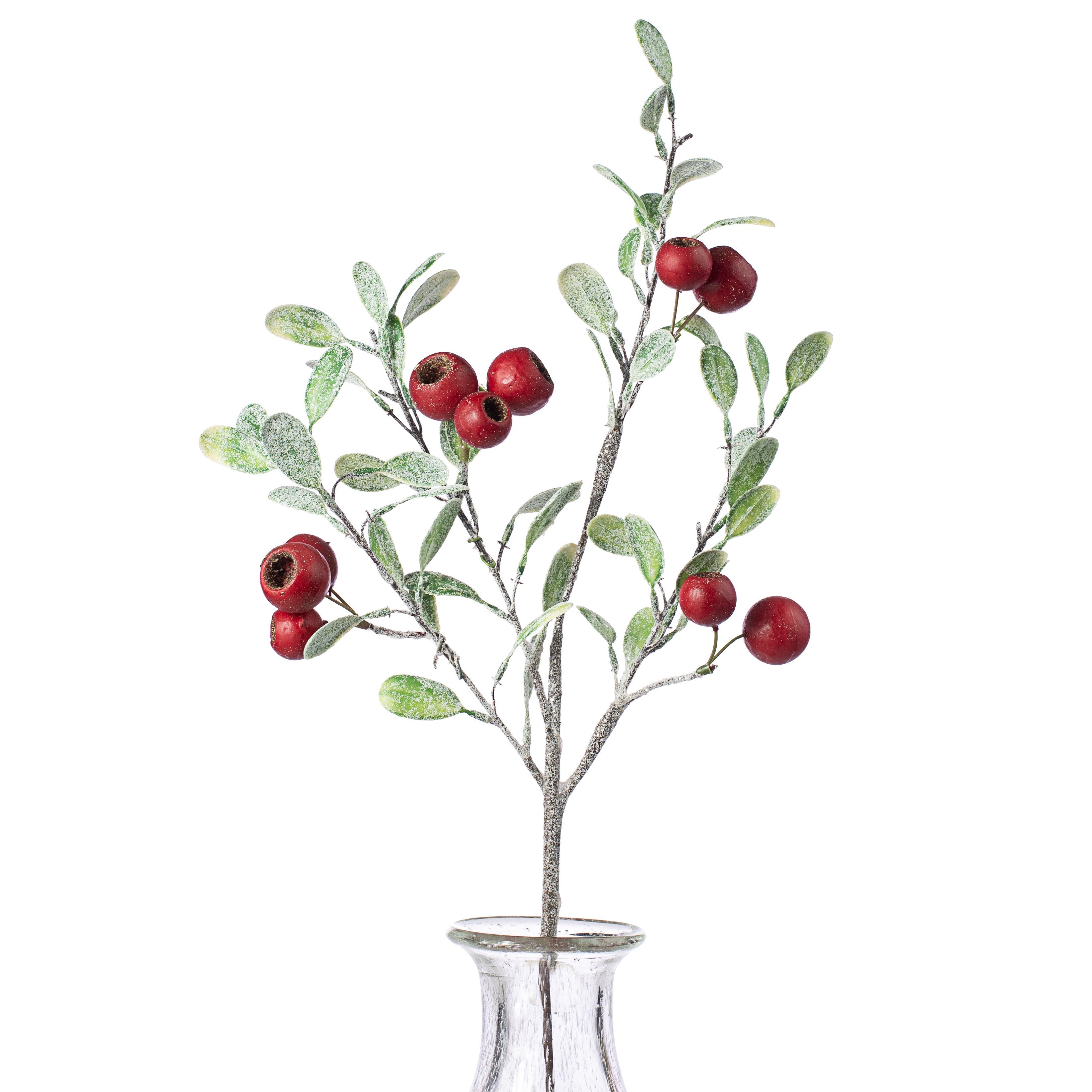 20" Poppy Pod & Frosted Leaf Pick Item Number: 270687