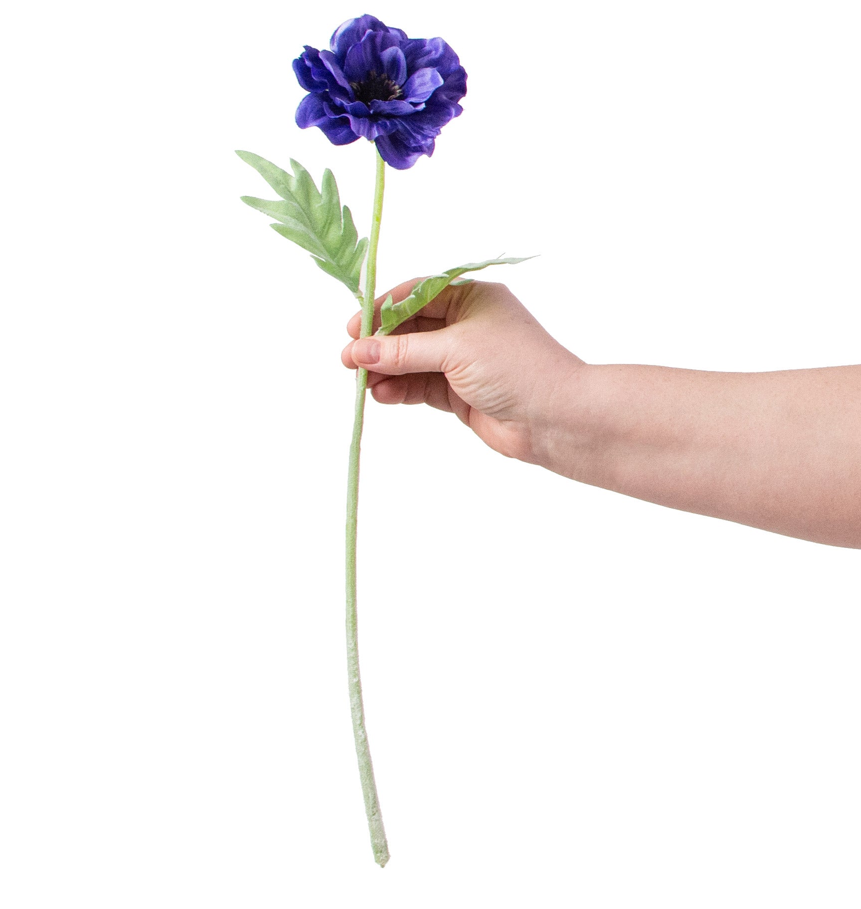 17" Poppy Stem: Purple detail photo 3