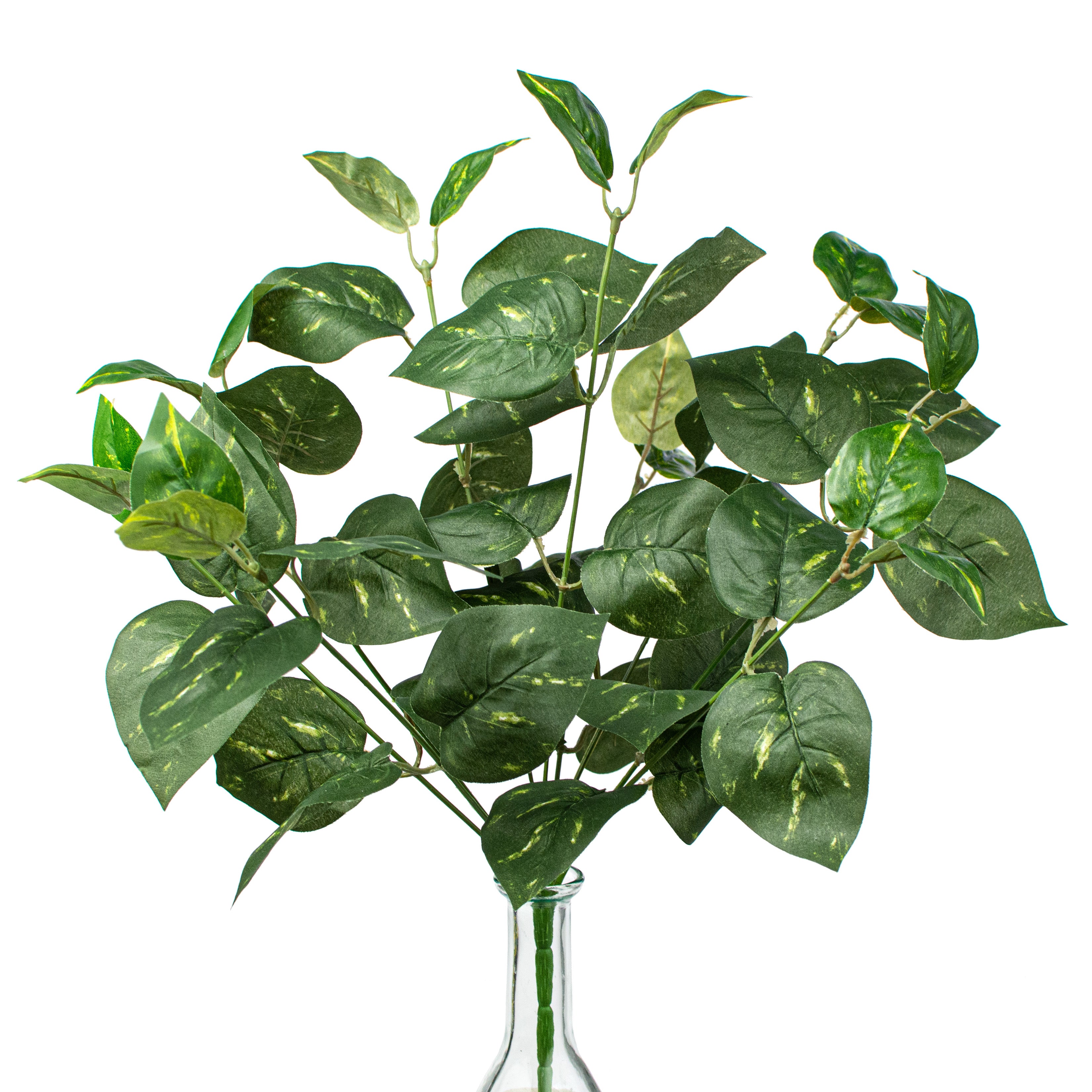 16" Pothos Leaves Bush Item Number: 13396GN
