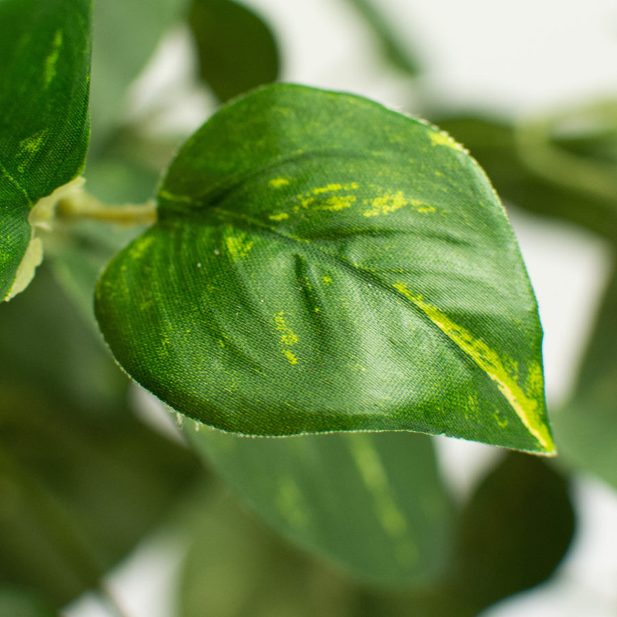 16" Pothos Leaves Bush Lifestyle Photo