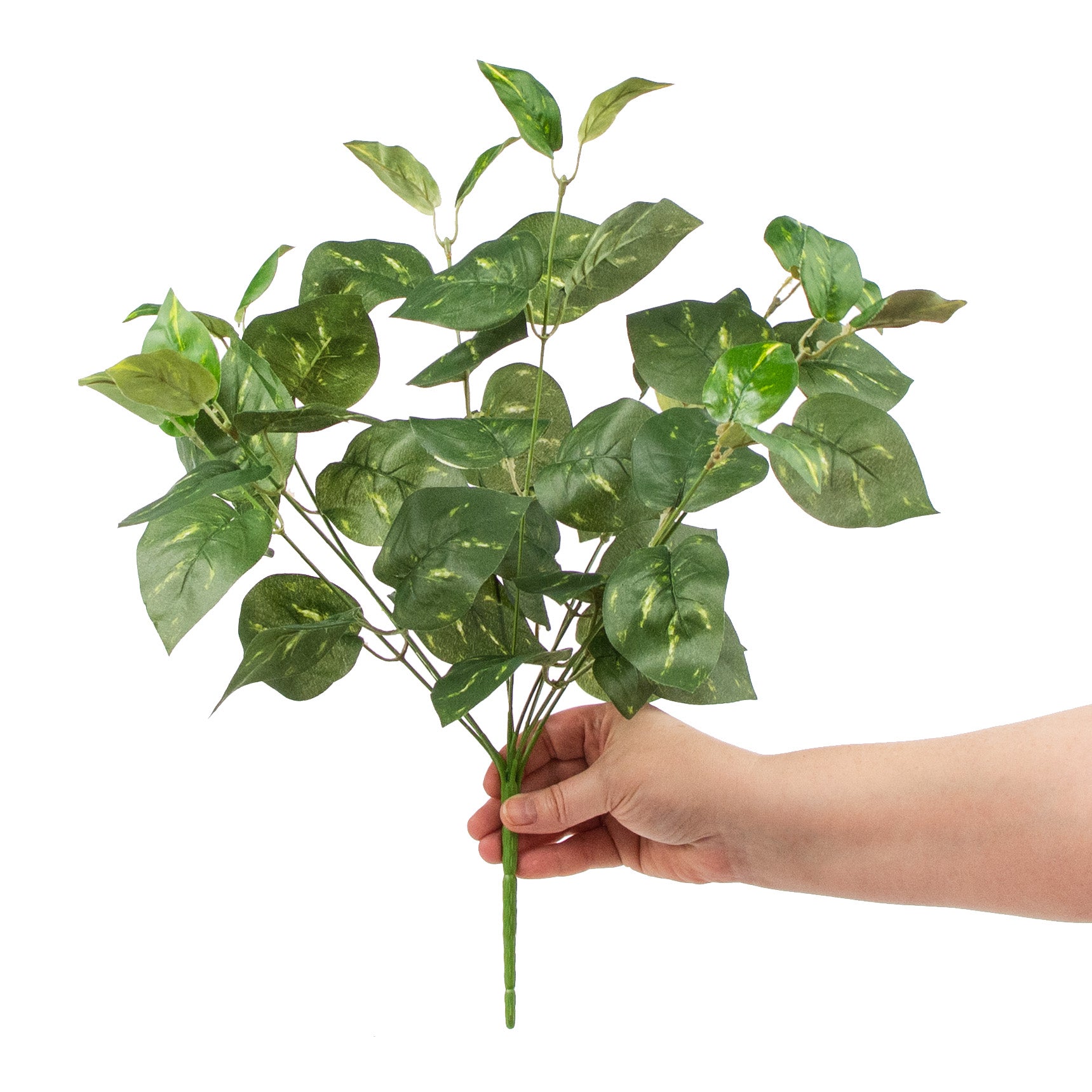 16" Pothos Leaves Bush detail photo 3