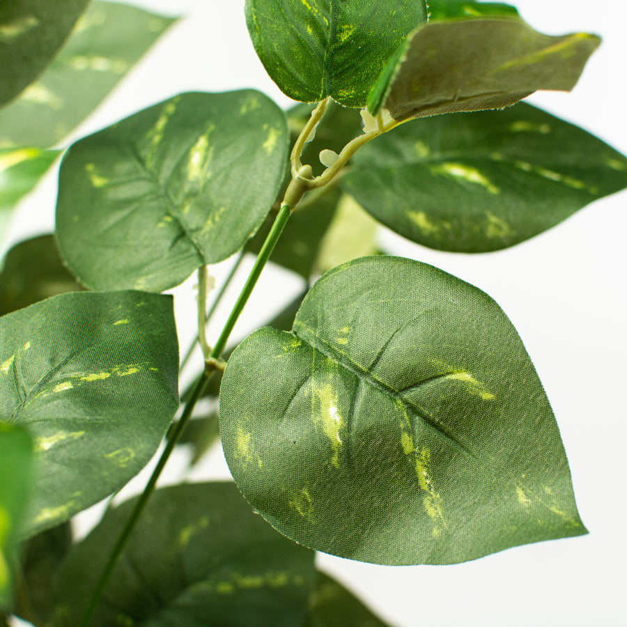 16" Pothos Leaves Bush detail photo 4
