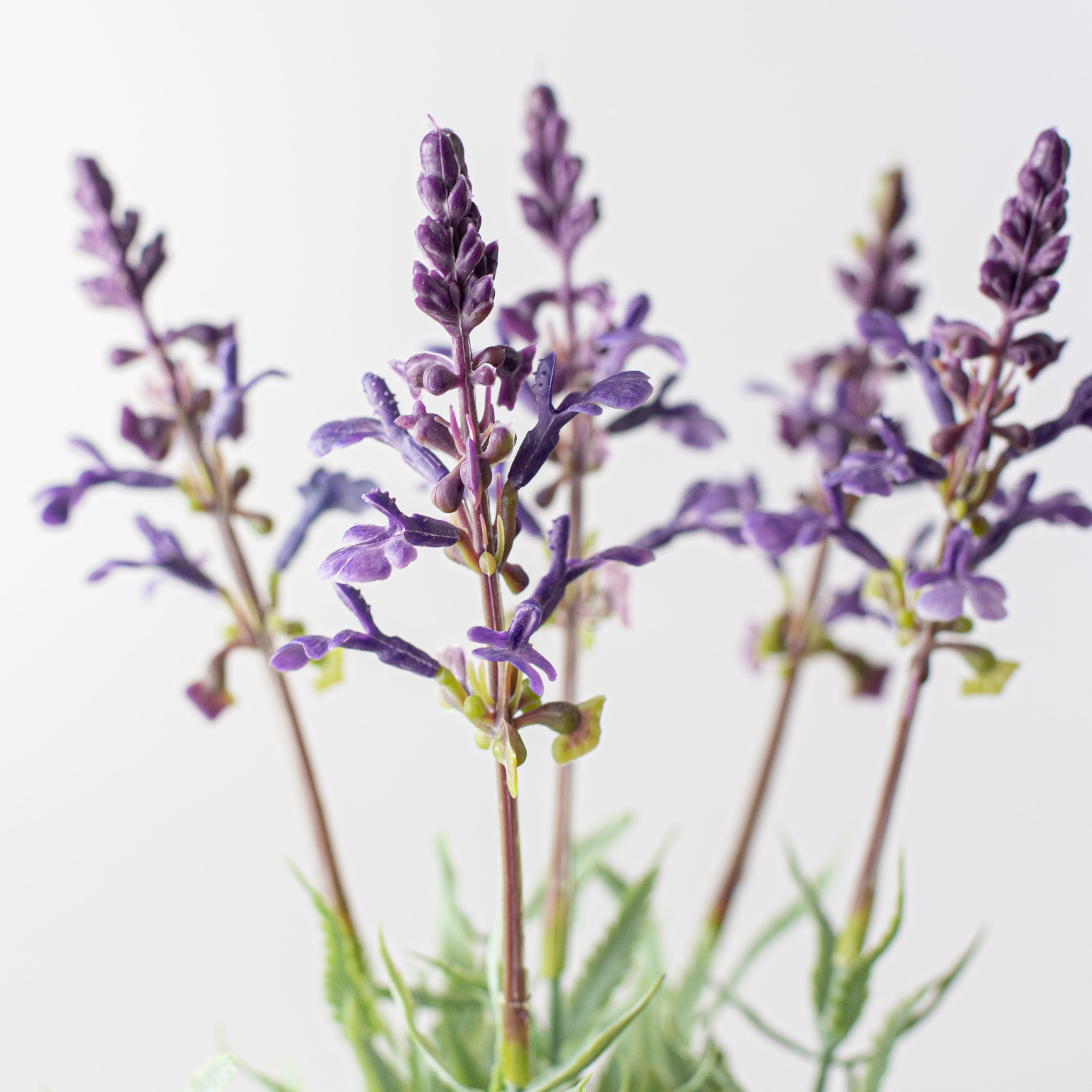 10" Potted Lavender Container detail photo 3