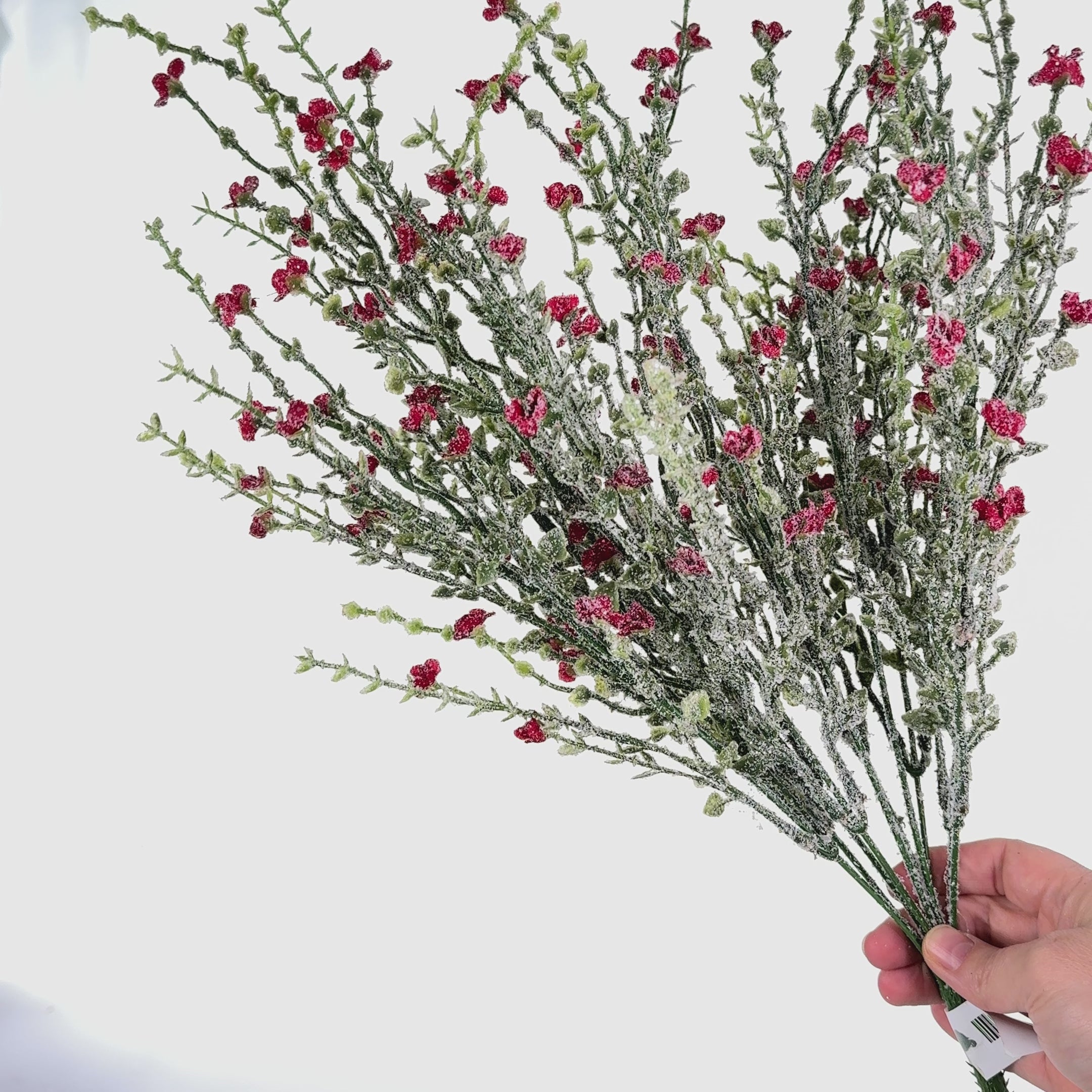 トップス *Rare* A/W 04 More Forest, Less Bushes Number (N)ine × Takahiromiyashita The Soloist. *RARE* A/W 04