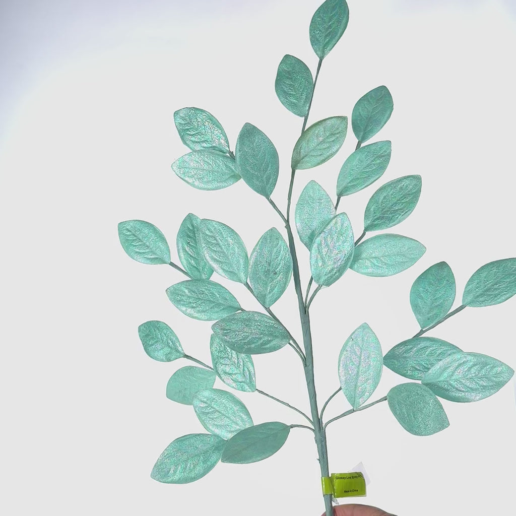 green leaves Leather Leaf Fern Pick 14