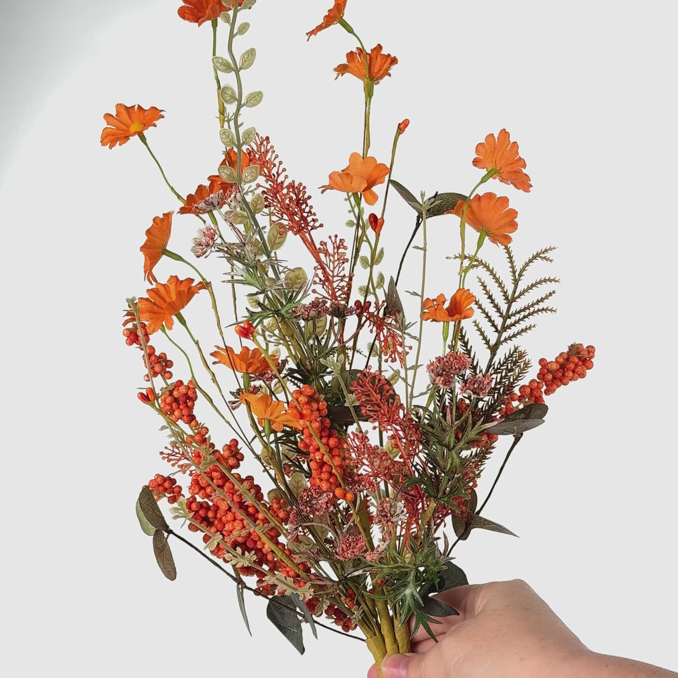 メイフラワー efd374324e61469592d278fdb2c45d