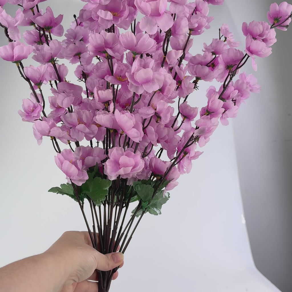 ■■送料無料■美品■BLOSSOM■FLERE SL RC■166cm■WAX■ Cherry Blossom – Frabel Glass