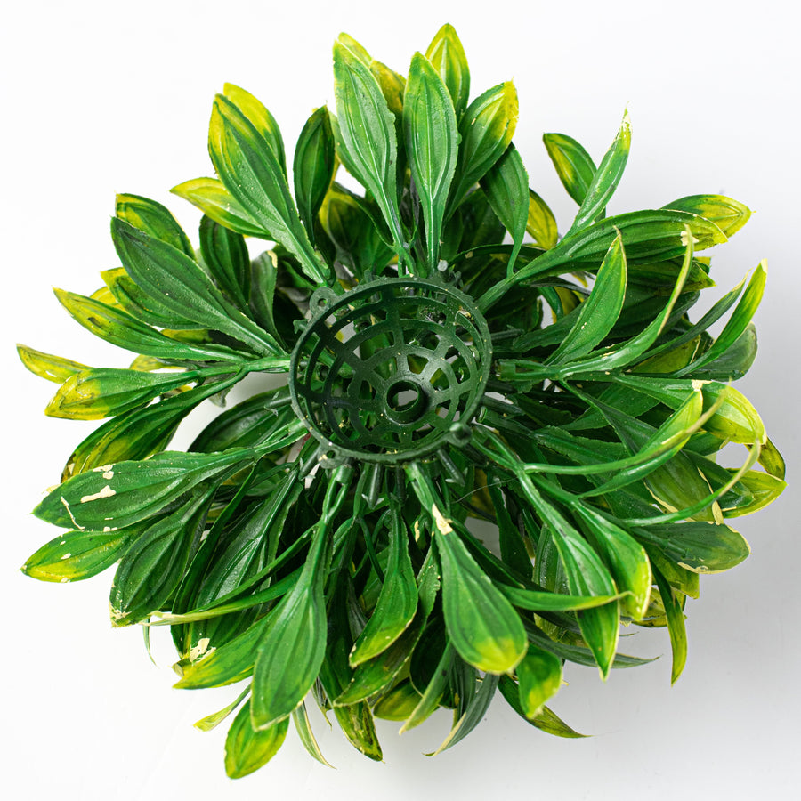 7" Privet Leaf Half Ball: Green & Yellow detail photo 3