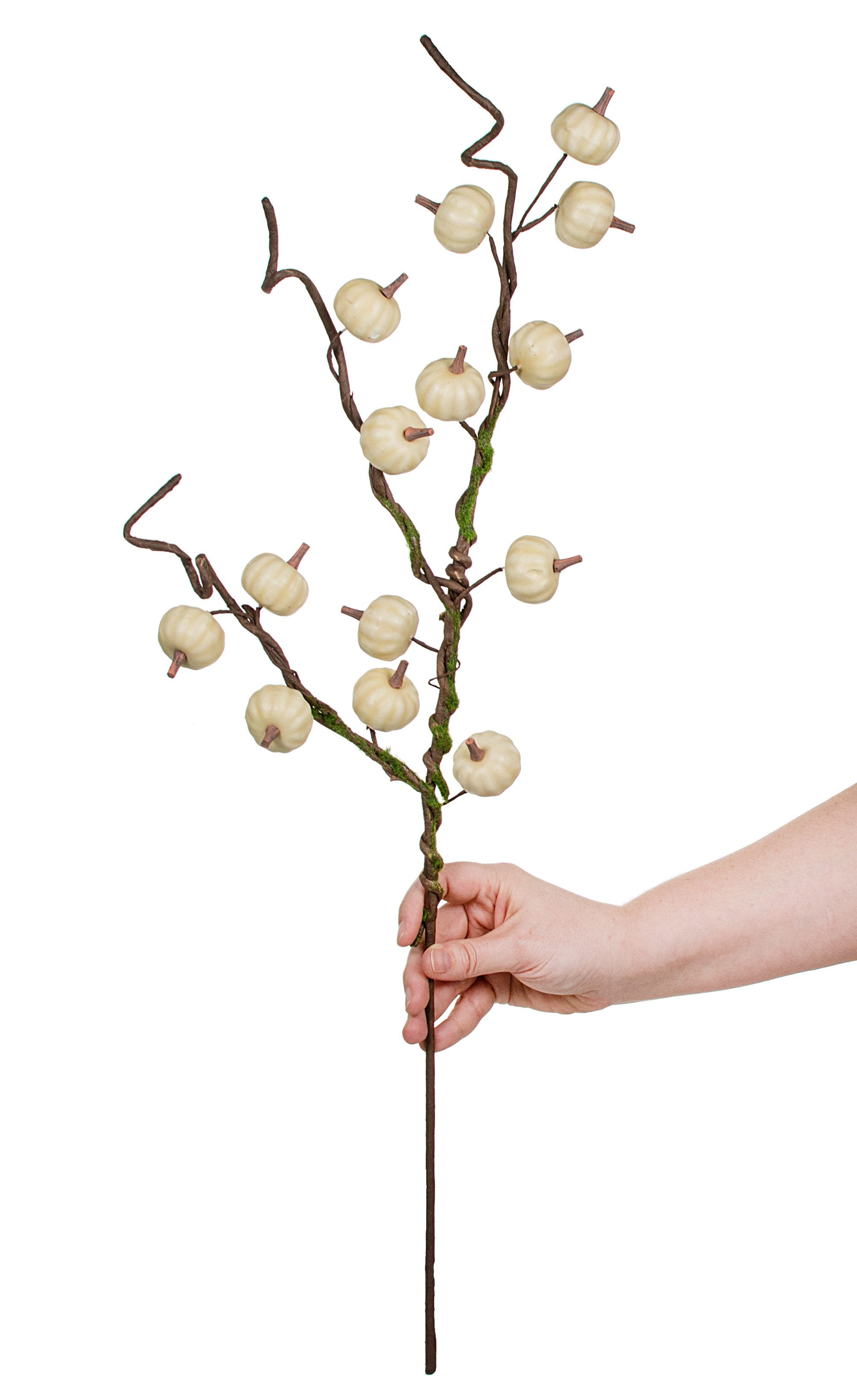 29" Pumpkin Branch Spray: Cream detail photo 4