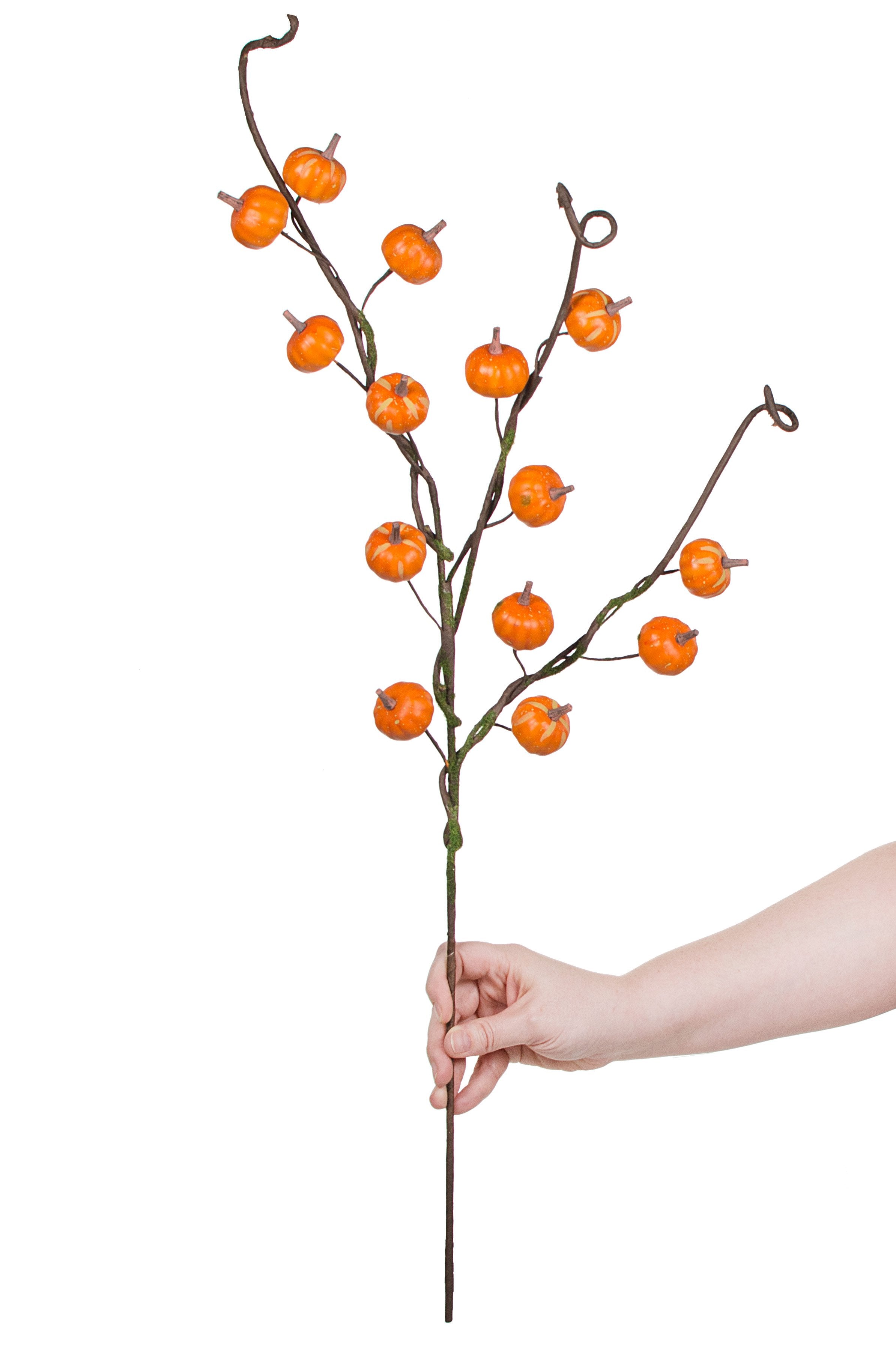 29" Pumpkin Branch Spray: Orange detail photo 4