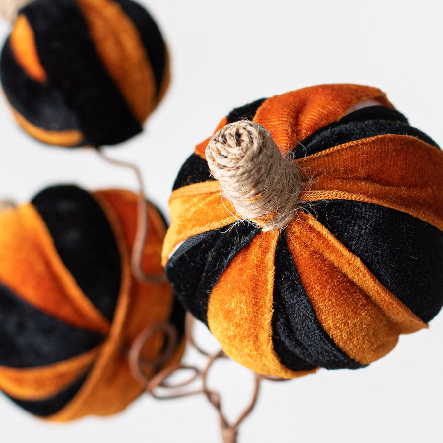 16" Pumpkin Pick: Black & Orange Velvet Lifestyle Photo