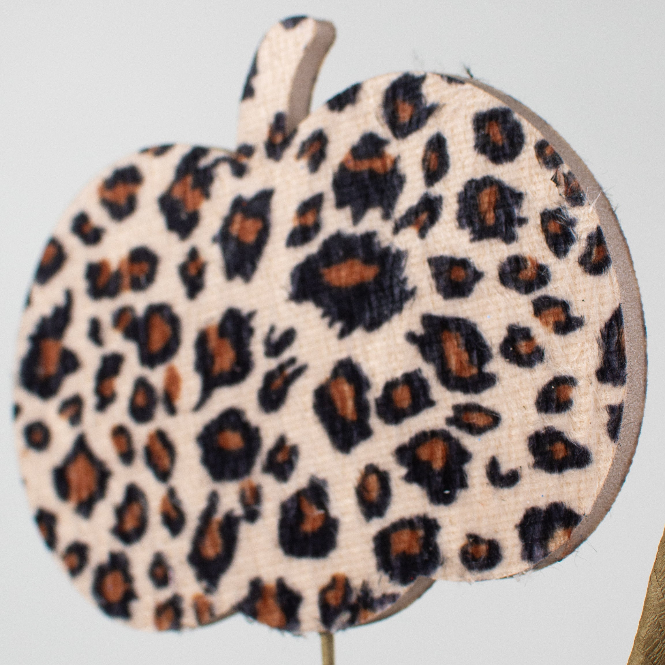 31" Pumpkin Spray: Leopard Lifestyle Photo