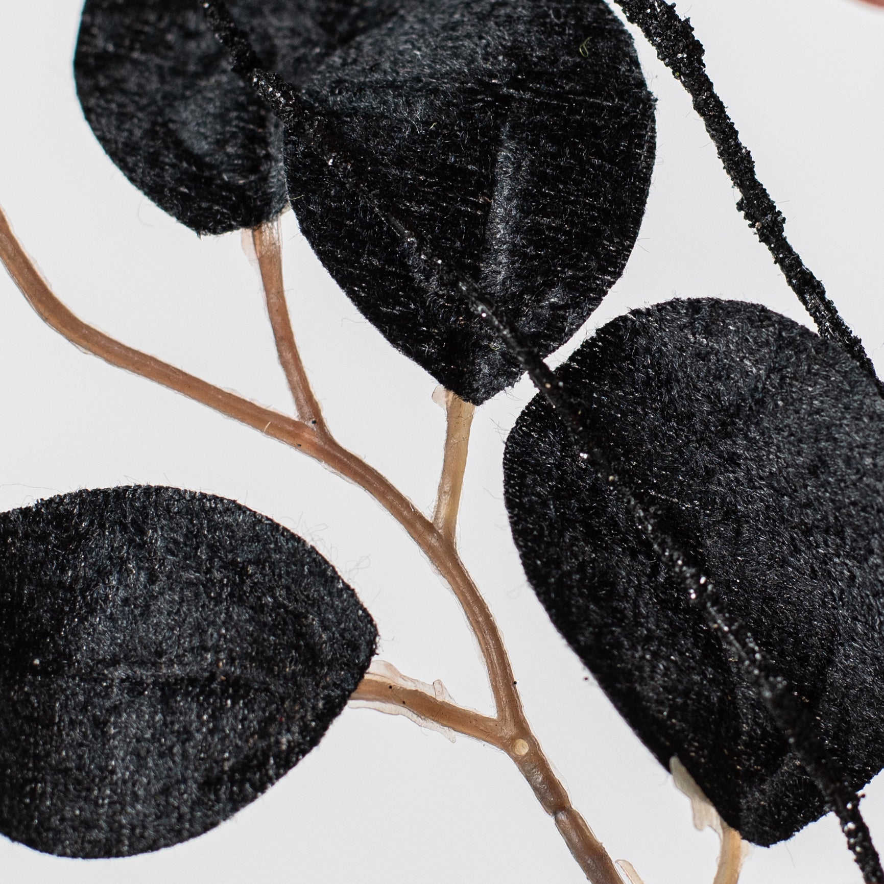 20" Pumpkins & Eucalyptus Spray: Orange & Black detail photo 5