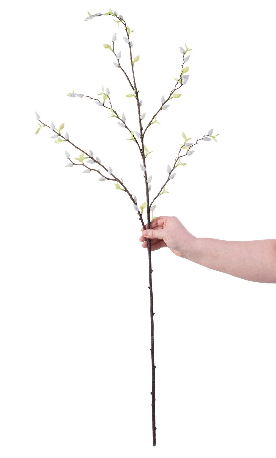 42" Pussy Willow Branch detail photo 3