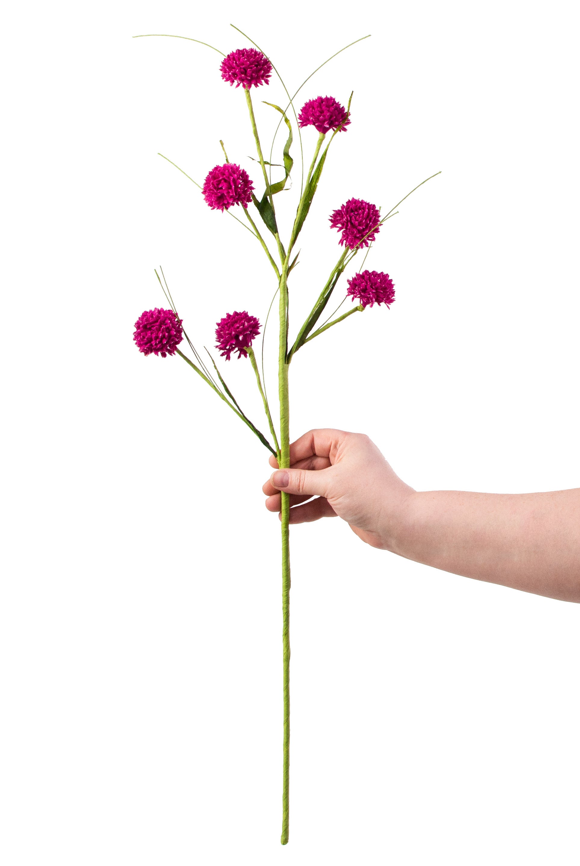 26" Queen Ann Grass Spray: Fuchsia Pink detail photo 3