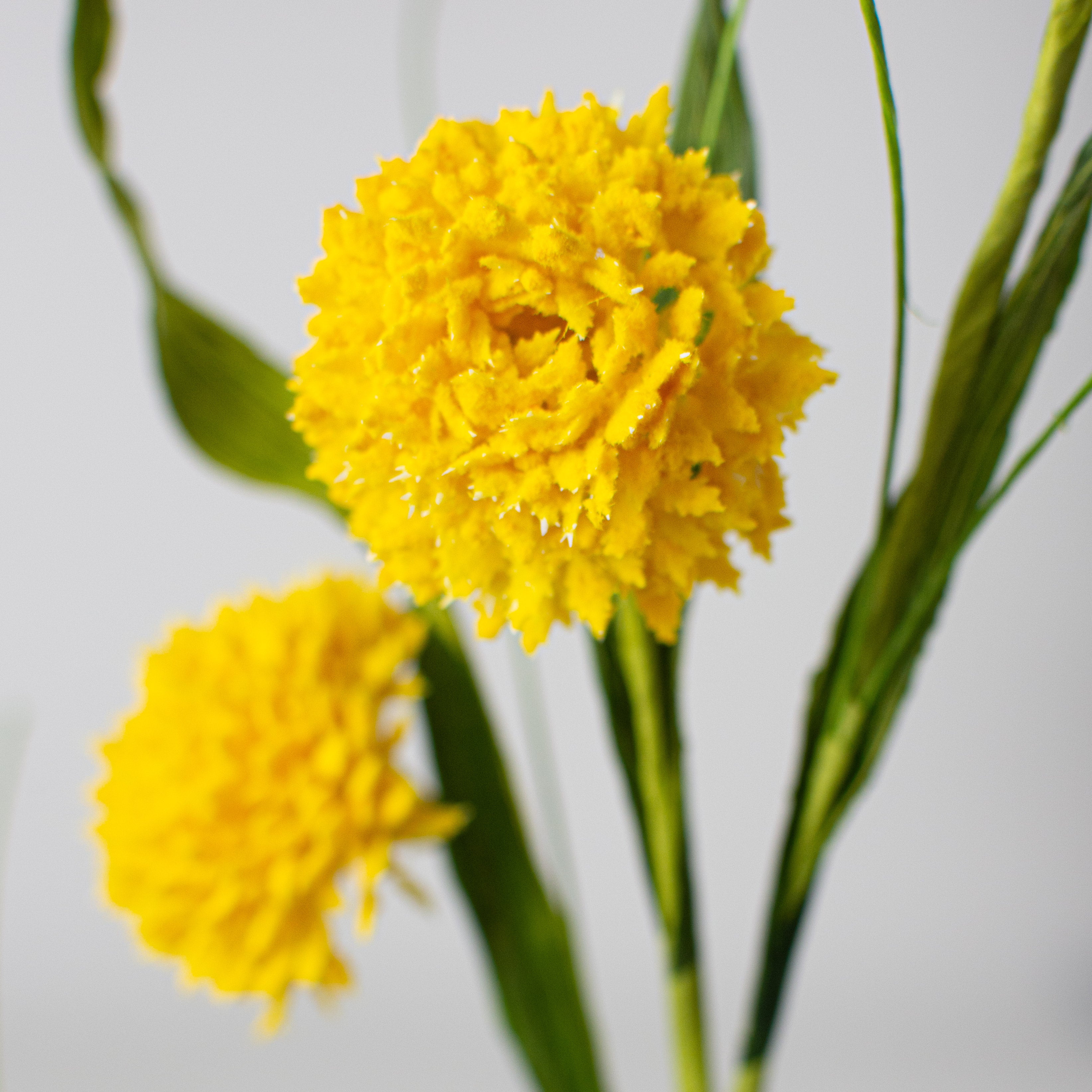 26" Queen Ann Grass Spray: Yellow Lifestyle Photo