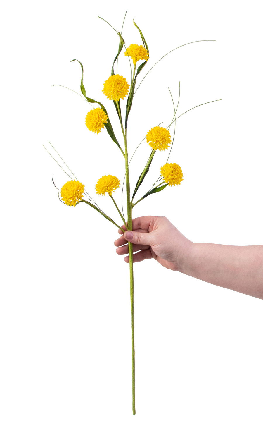 26" Queen Ann Grass Spray: Yellow detail photo 3