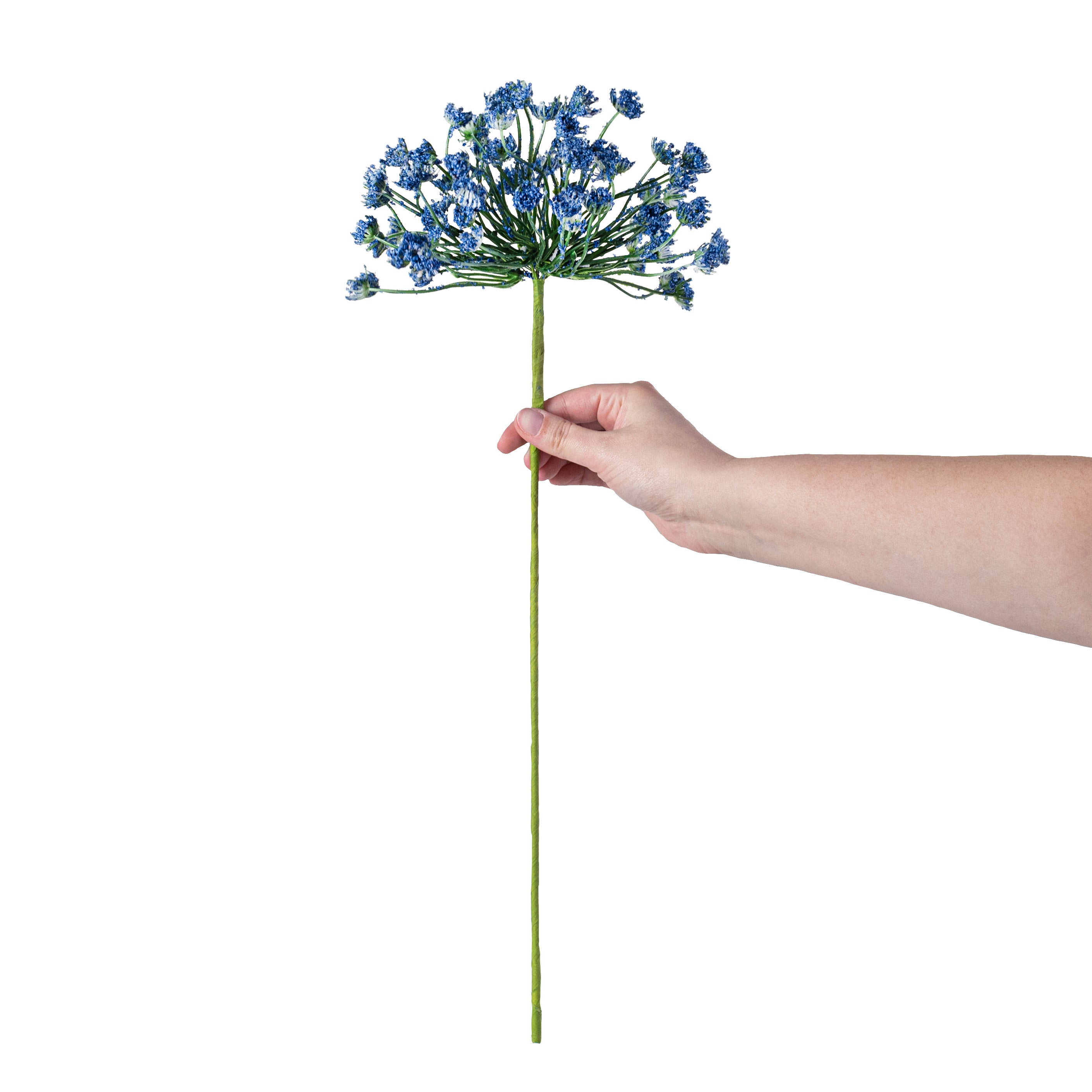 21" Queen Ann Heather Blossom Stem: Blue detail photo 3