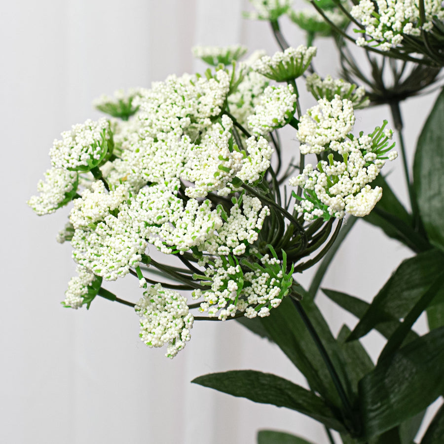 20" Queen Anne Lace Bush Lifestyle Photo