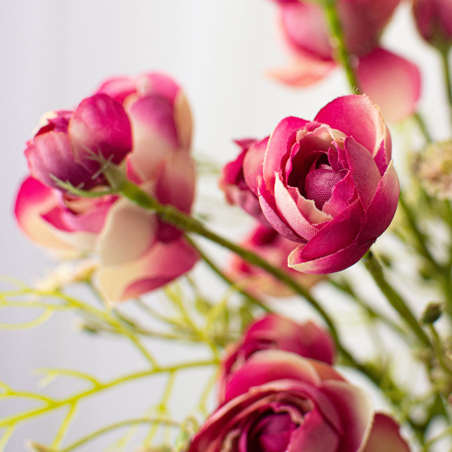 14" Ranunculus Bundle: Fuchsia Lifestyle Photo