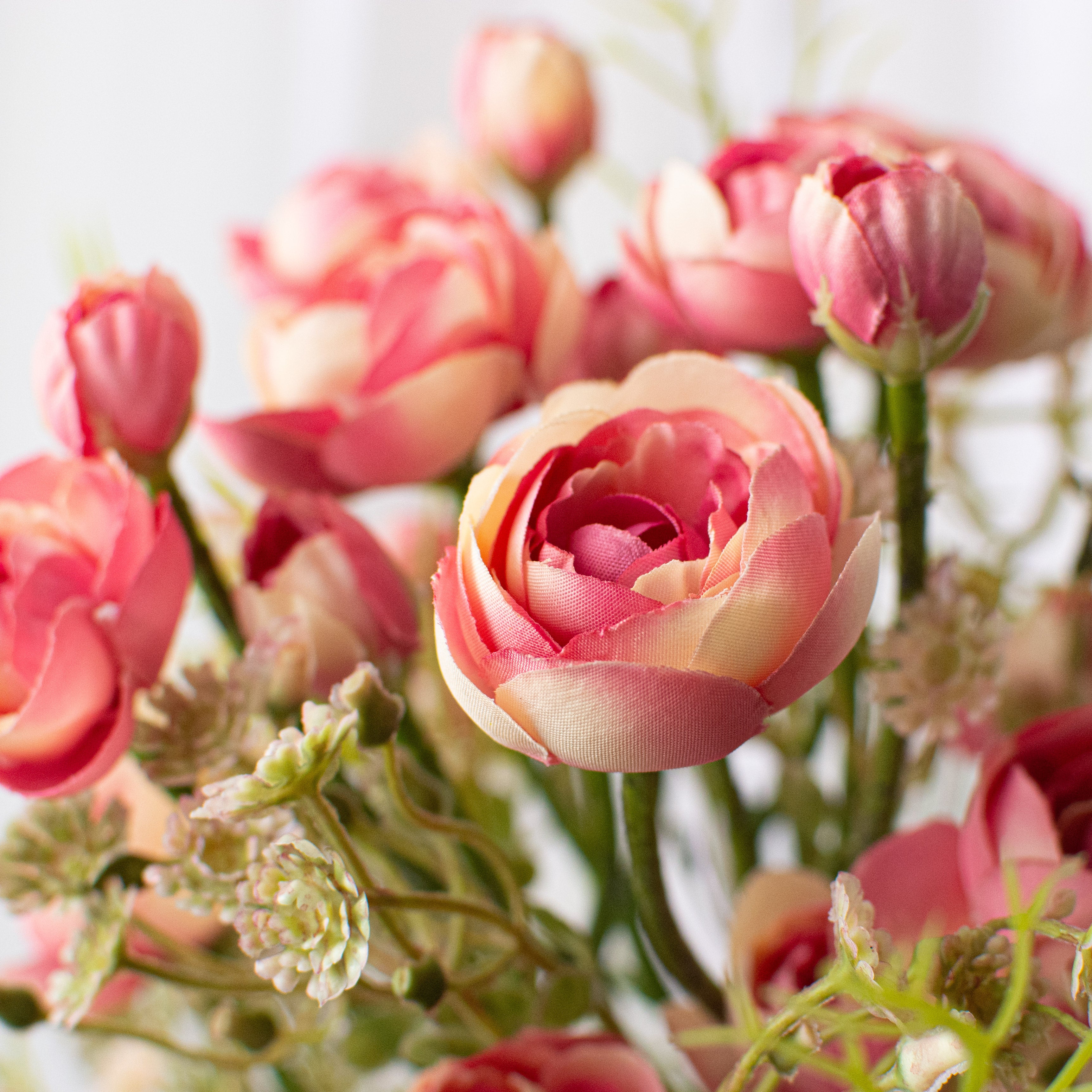 14" Ranunculus Bundle: Mauve Cream detail photo 3