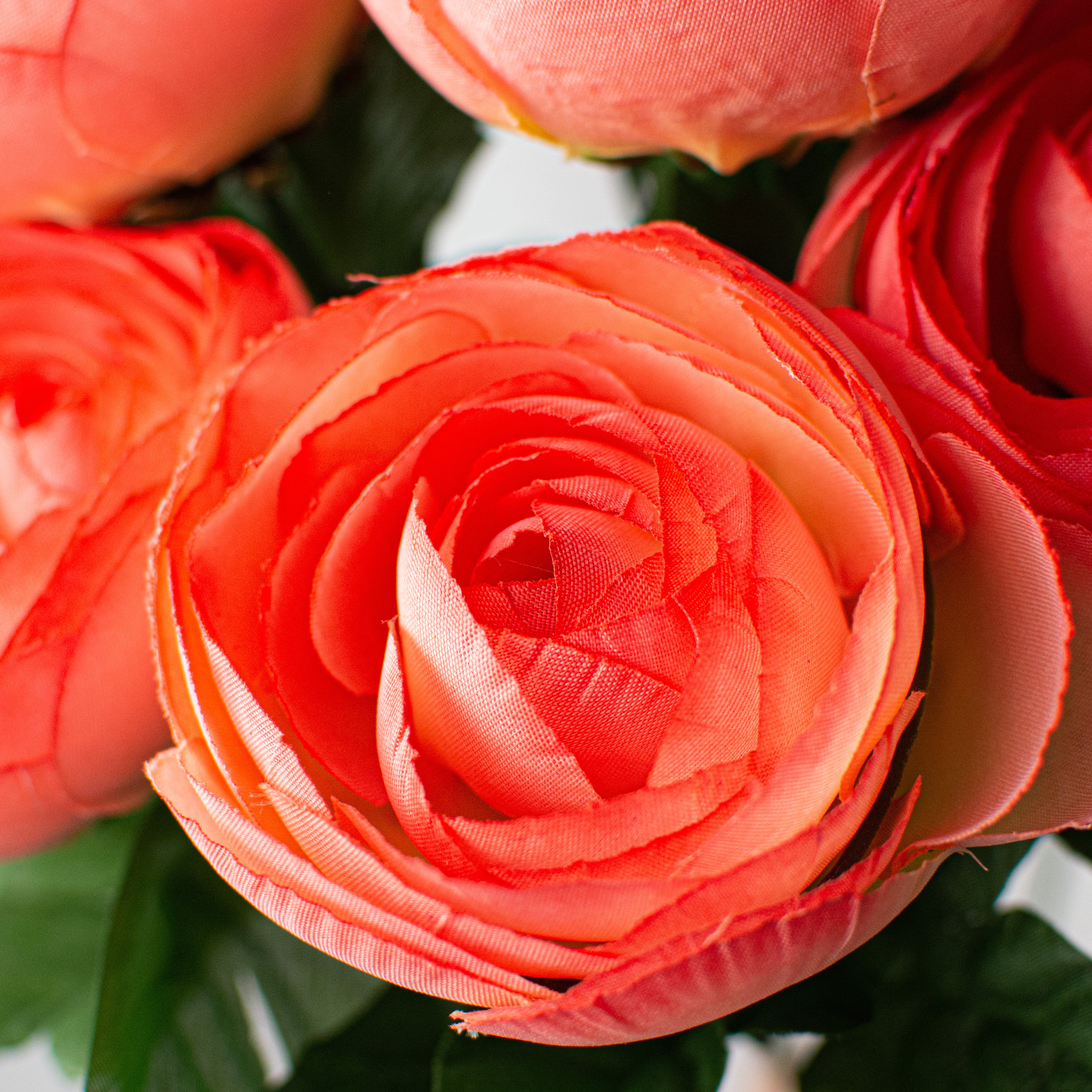 20" Ranunculus Bush: Coral Orange (12 Stem) Lifestyle Photo
