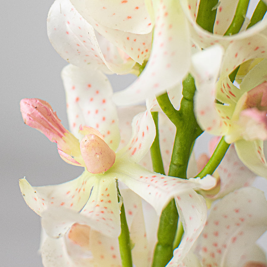 27" Real Touch Mokara Orchid Stem: Cream Lifestyle Photo