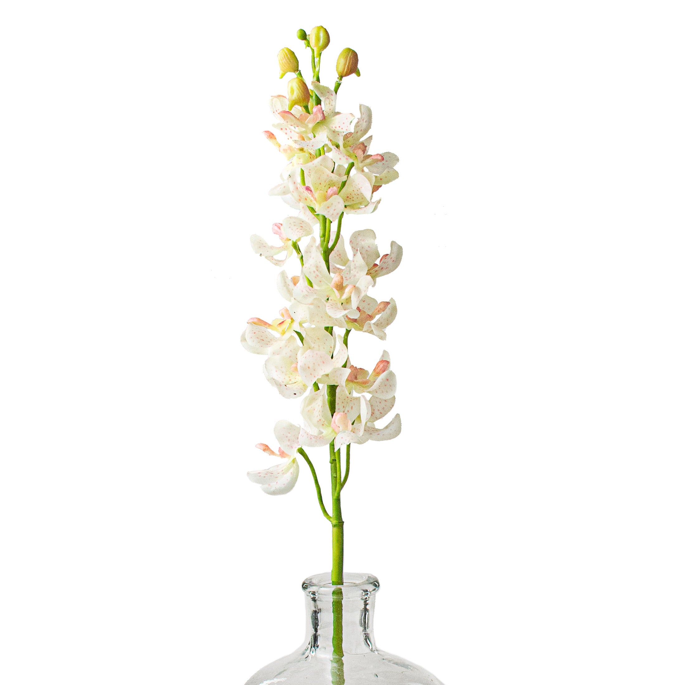 27" Real Touch Mokara Orchid Stem: Cream Item Number: 2230086CW