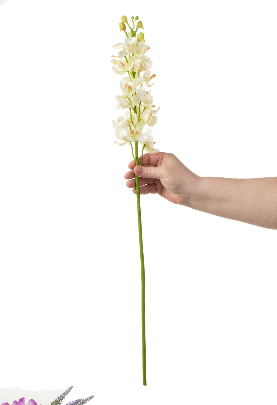 27" Real Touch Mokara Orchid Stem: Cream detail photo 3