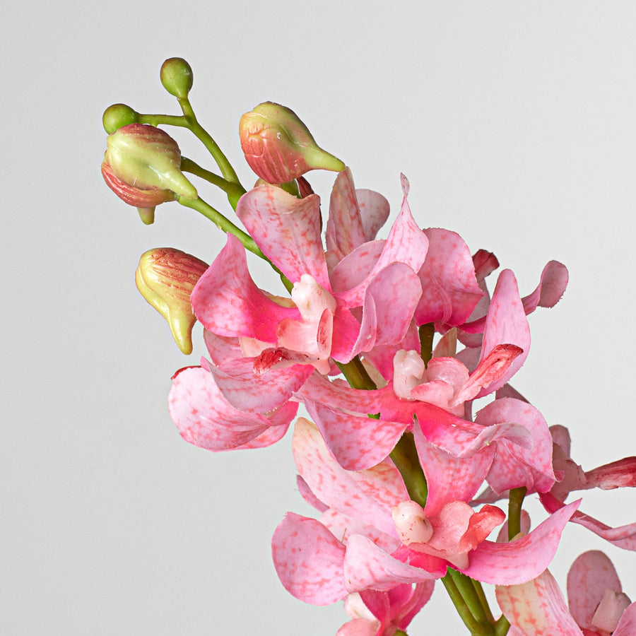 27" Real Touch Mokara Orchid Stem: Pink Lifestyle Photo