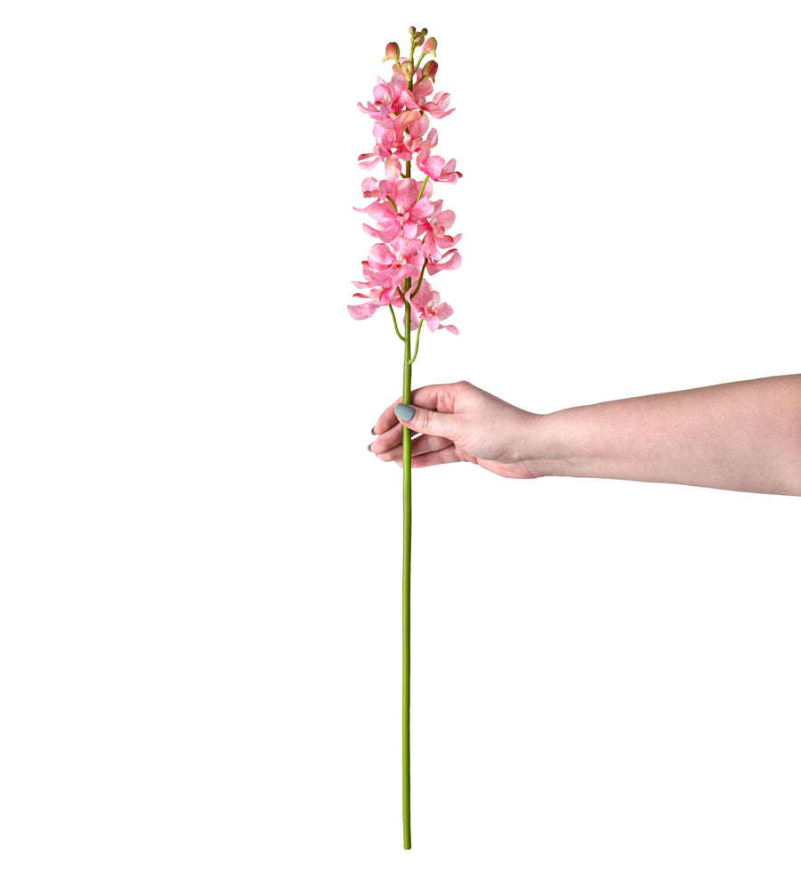 27" Real Touch Mokara Orchid Stem: Pink detail photo 3