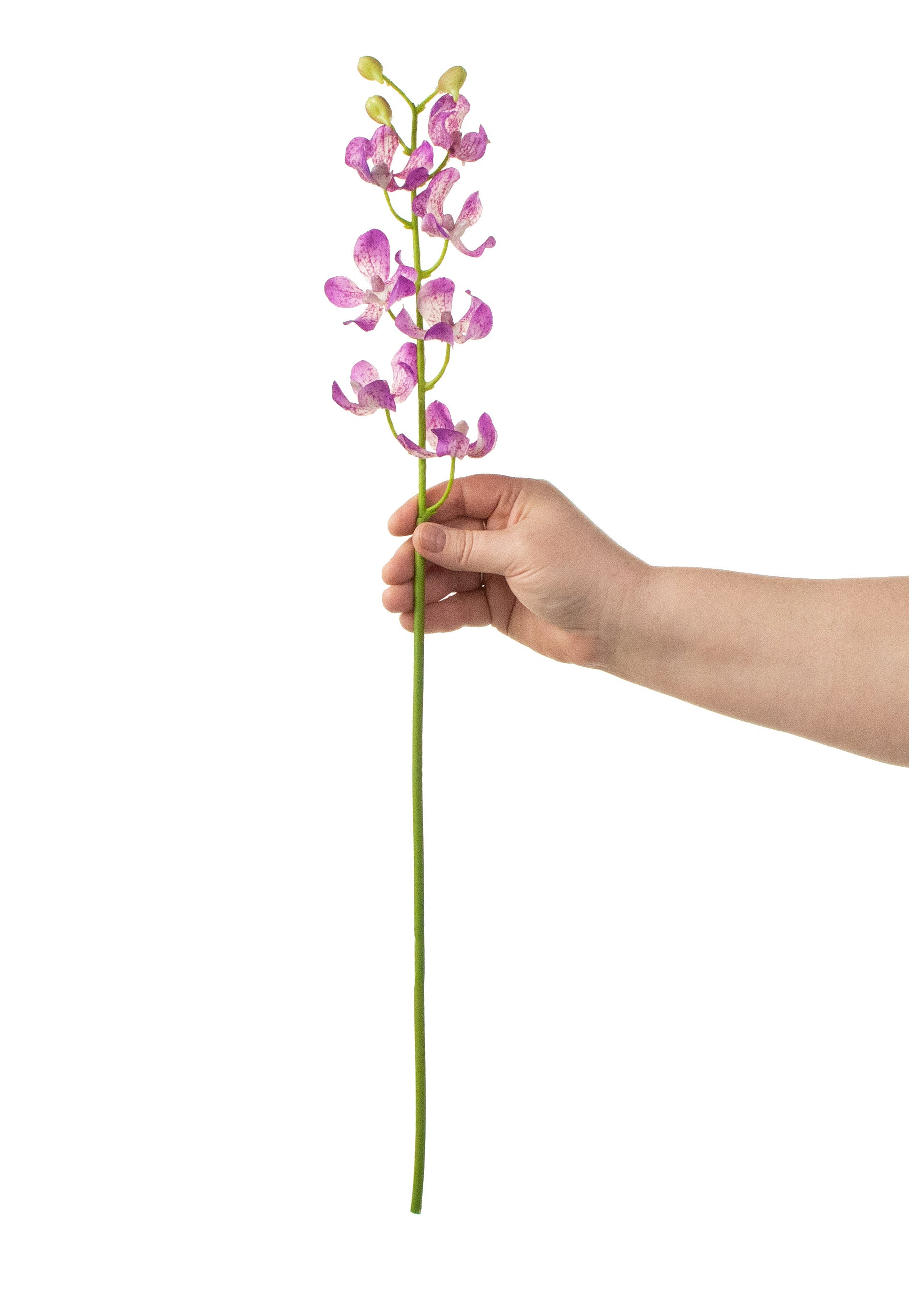 24" Real Touch Mokara Orchid Stem: Purple detail photo 3