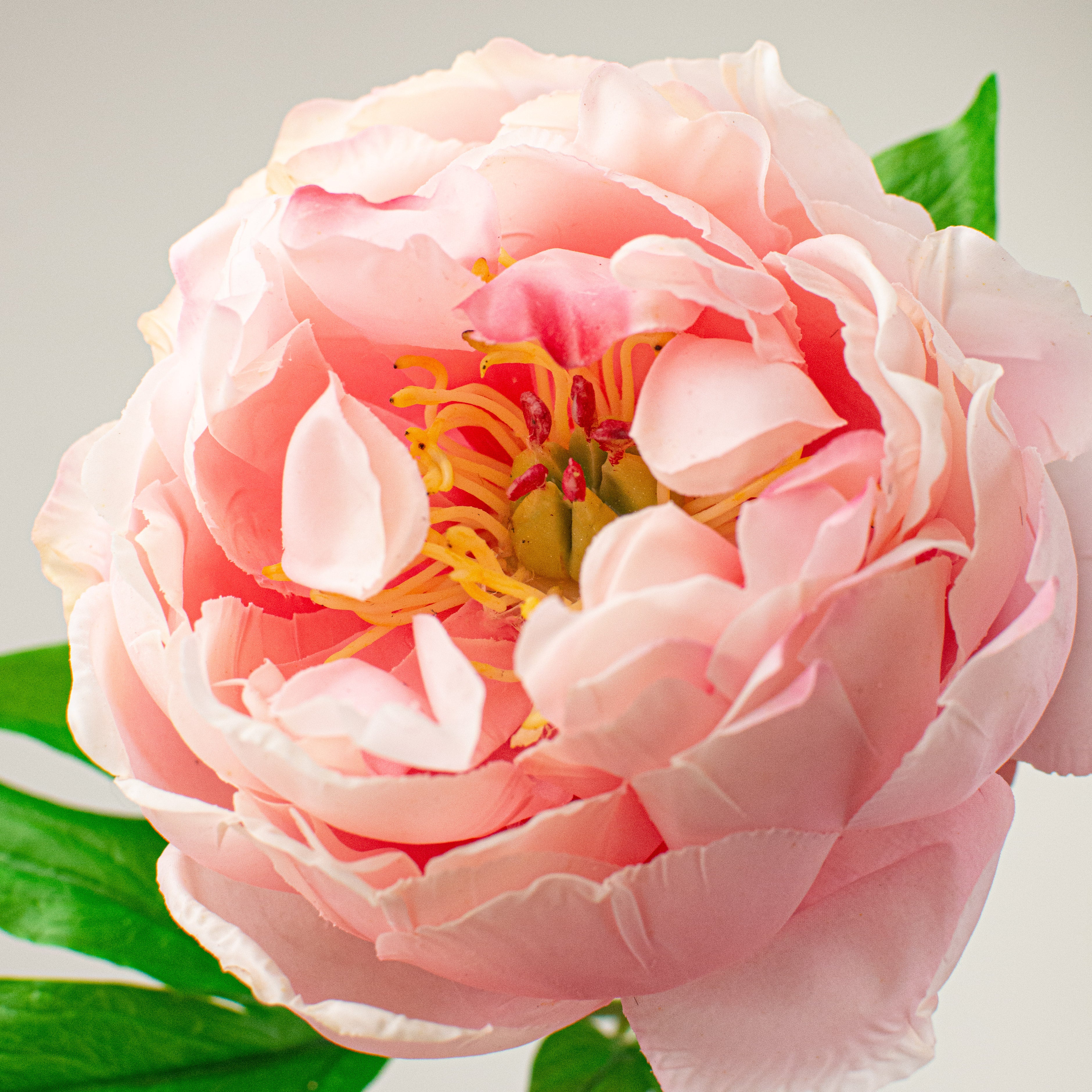 26" Real Touch Peony Stem: Pink Lifestyle Photo
