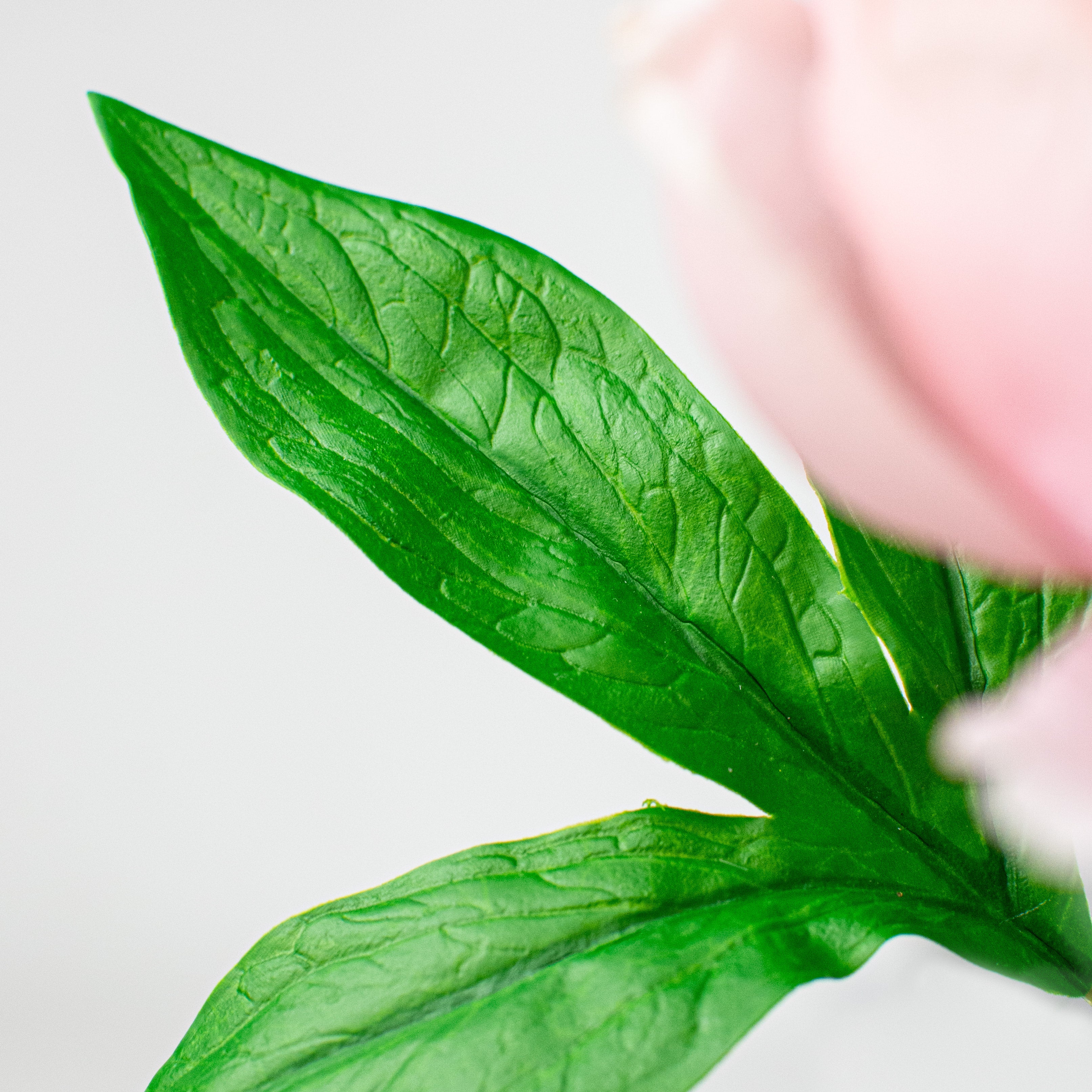 26" Real Touch Peony Stem: Pink detail photo 3