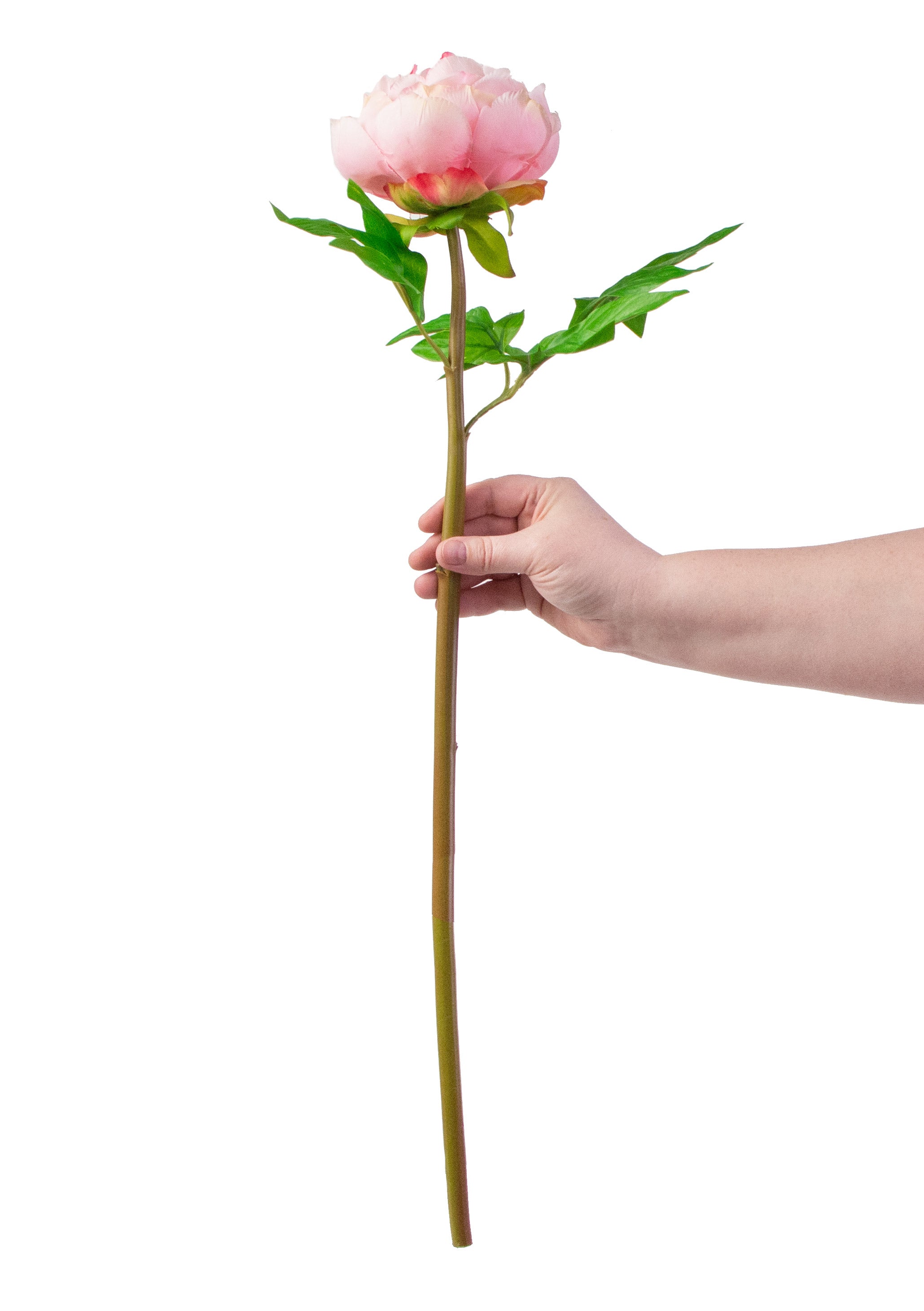 26" Real Touch Peony Stem: Pink detail photo 4
