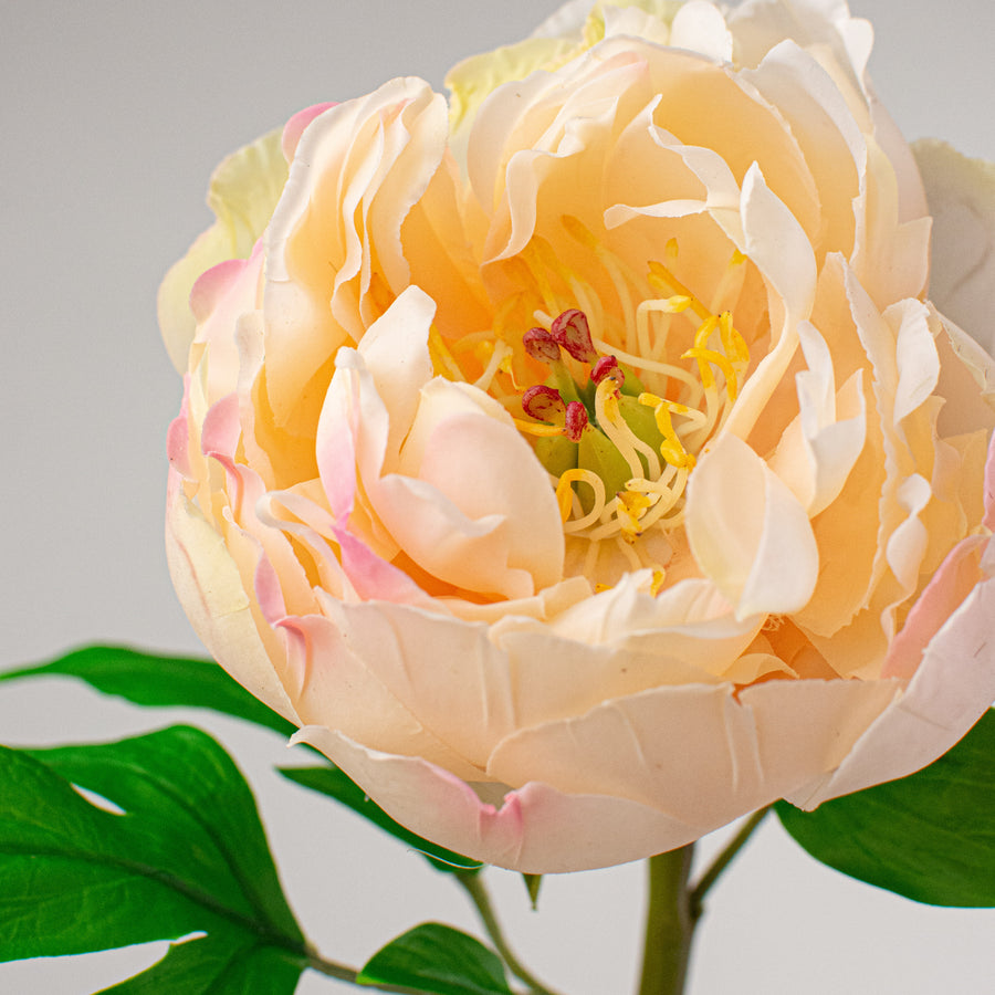 26" Real Touch Peony Stem: Pink & Cream Lifestyle Photo