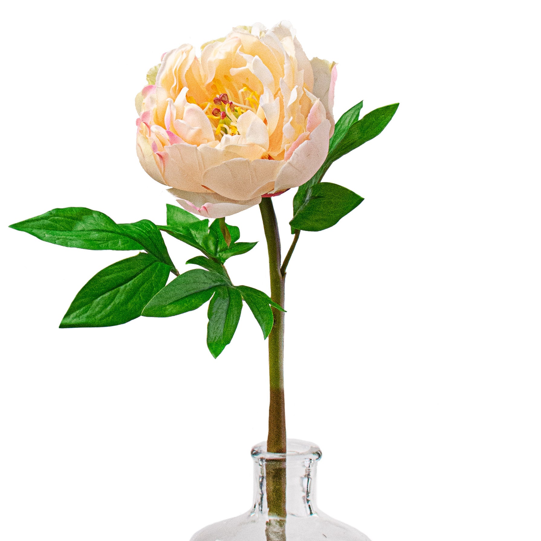 26" Real Touch Peony Stem: Pink & Cream Item Number: 2245045PC