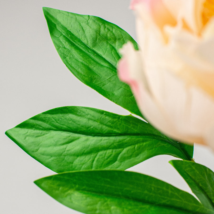 26" Real Touch Peony Stem: Pink & Cream detail photo 3
