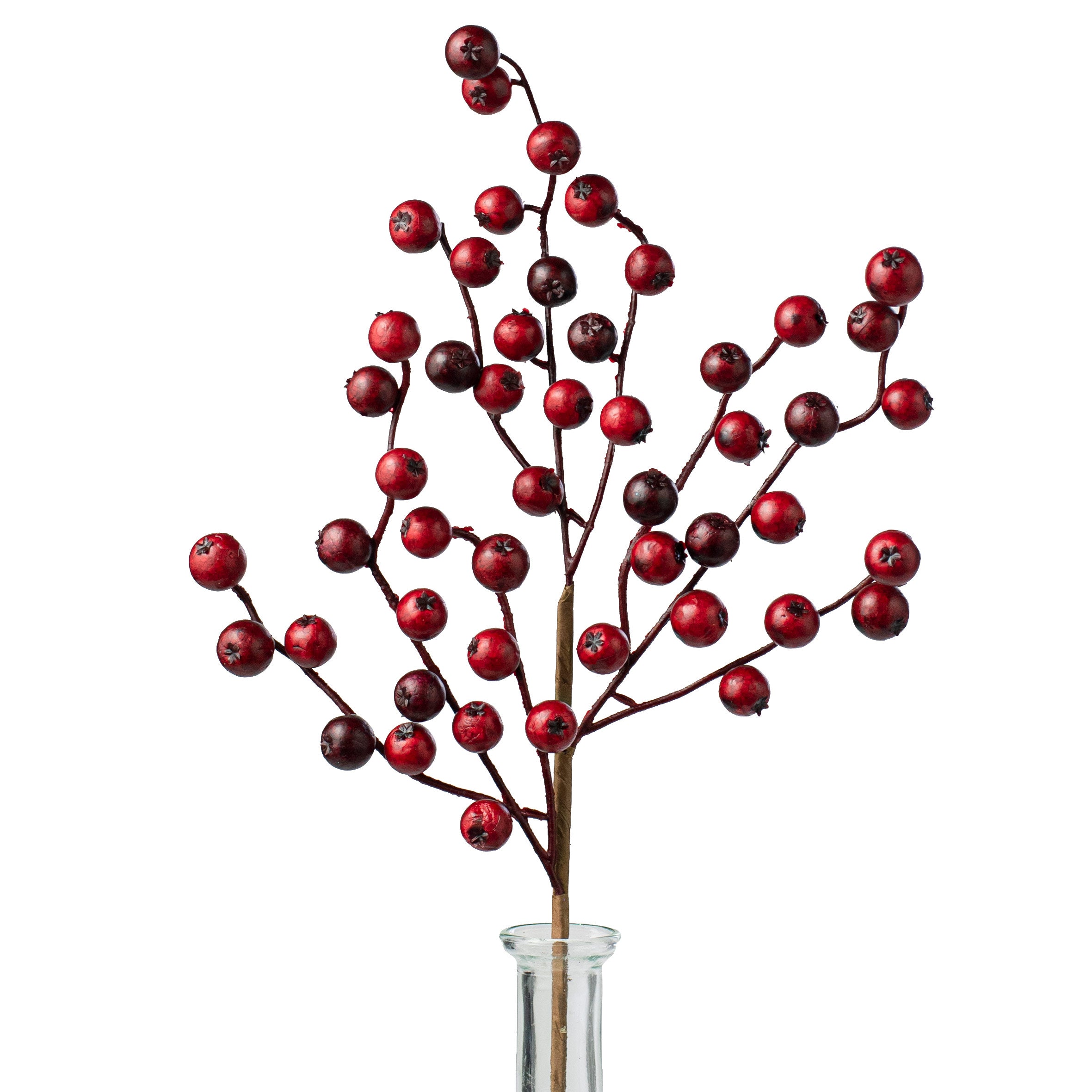 17" Red Berry Spray: Matte Finish Item Number: EW006277