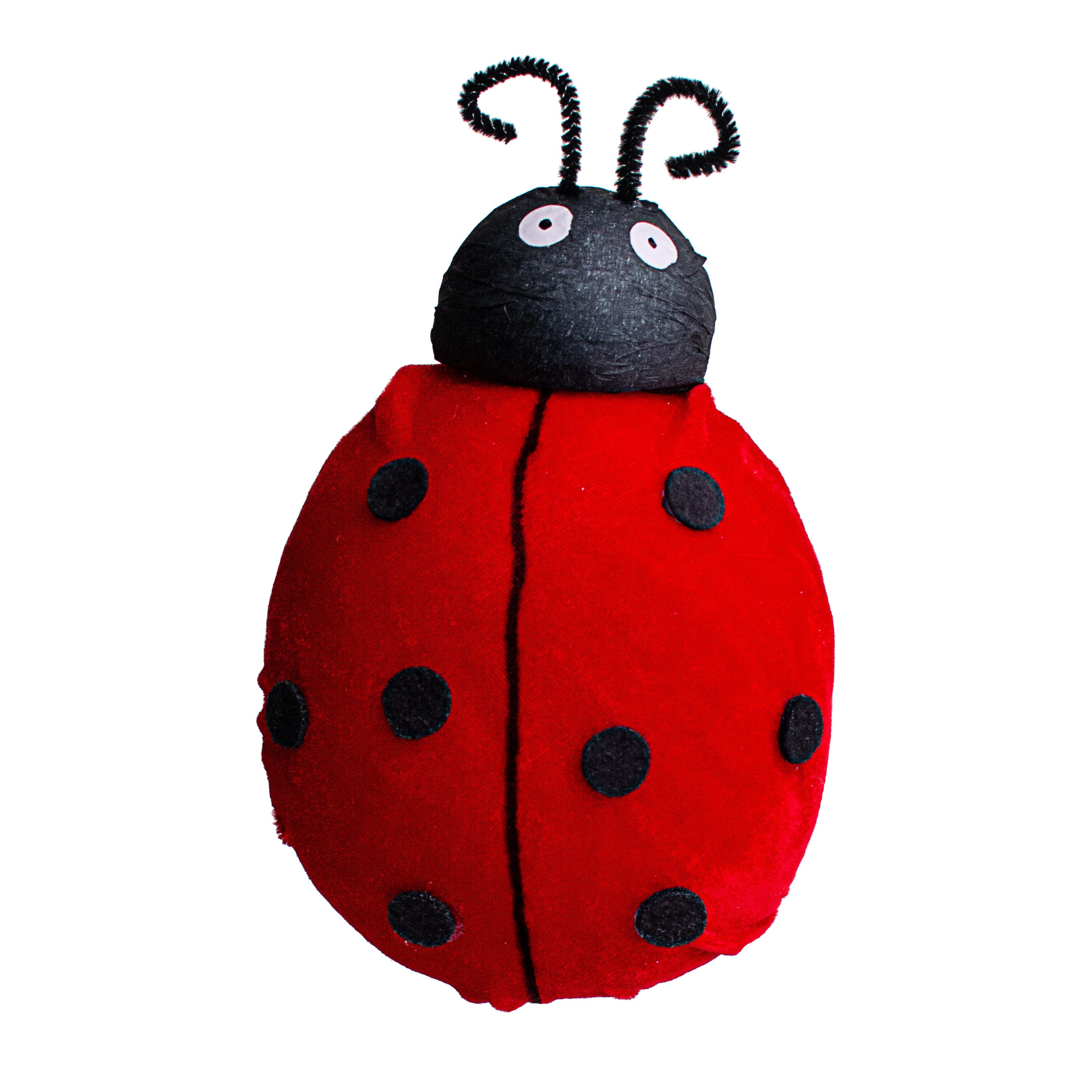 Heve ヘイヴ LADYBUG Heve ヘイヴ LADYBUG