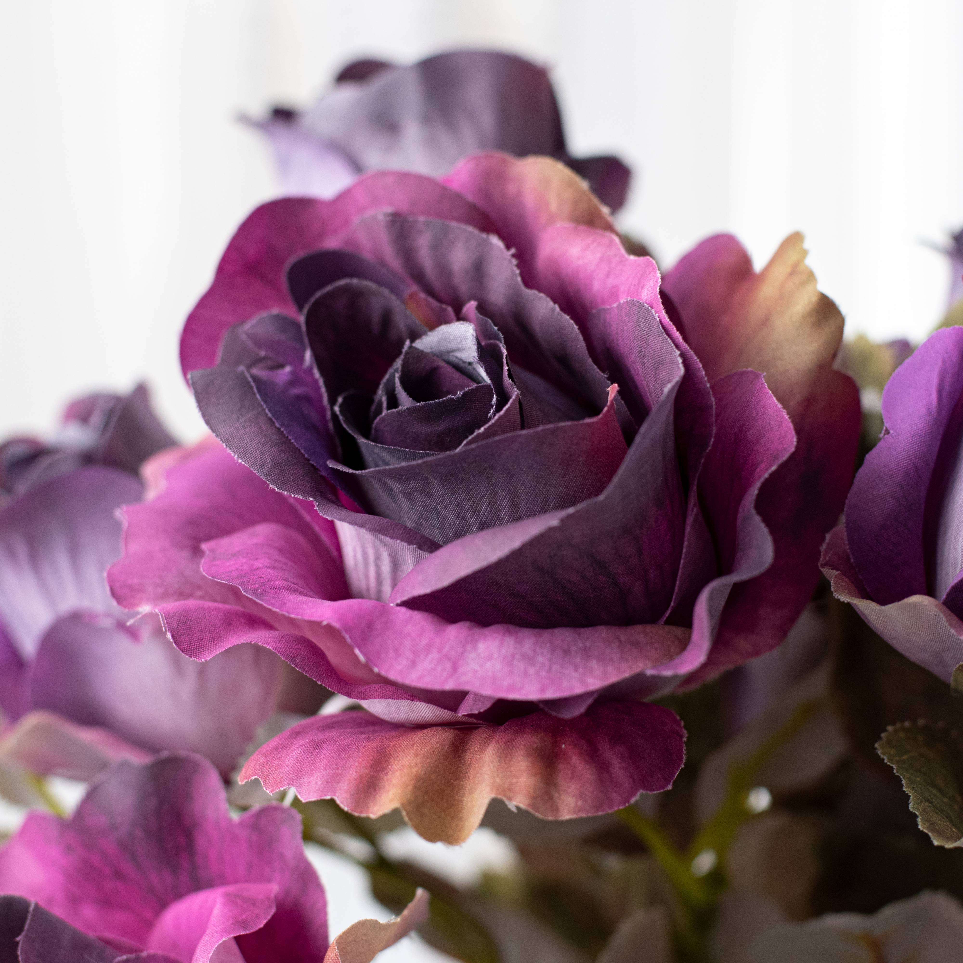 19" Rose Bud Bush: Ombré Purple Lifestyle Photo