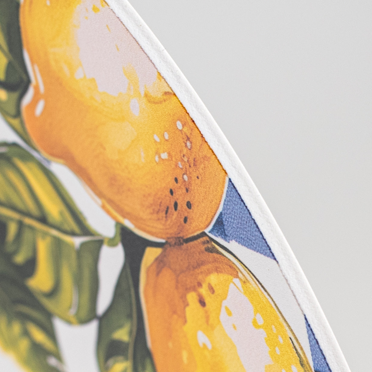 10.5" Round Waterproof Sign: Squeeze the Day Lemons detail photo 3