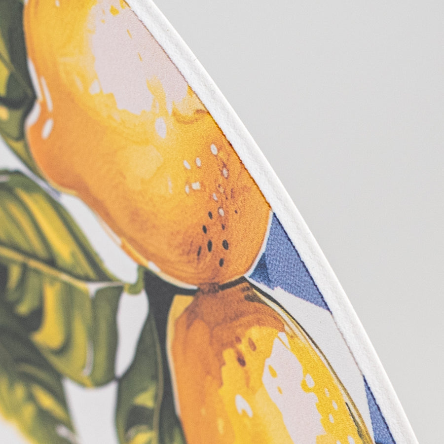 10.5" Round Waterproof Sign: Squeeze the Day Lemons detail photo 3
