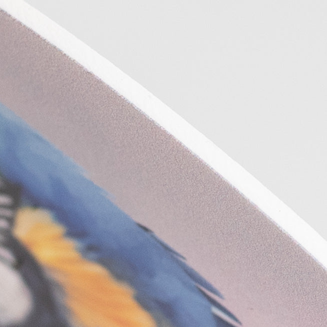 9.4" Round Waterproof Sign: Watercolor Macaw Parrot detail photo 3
