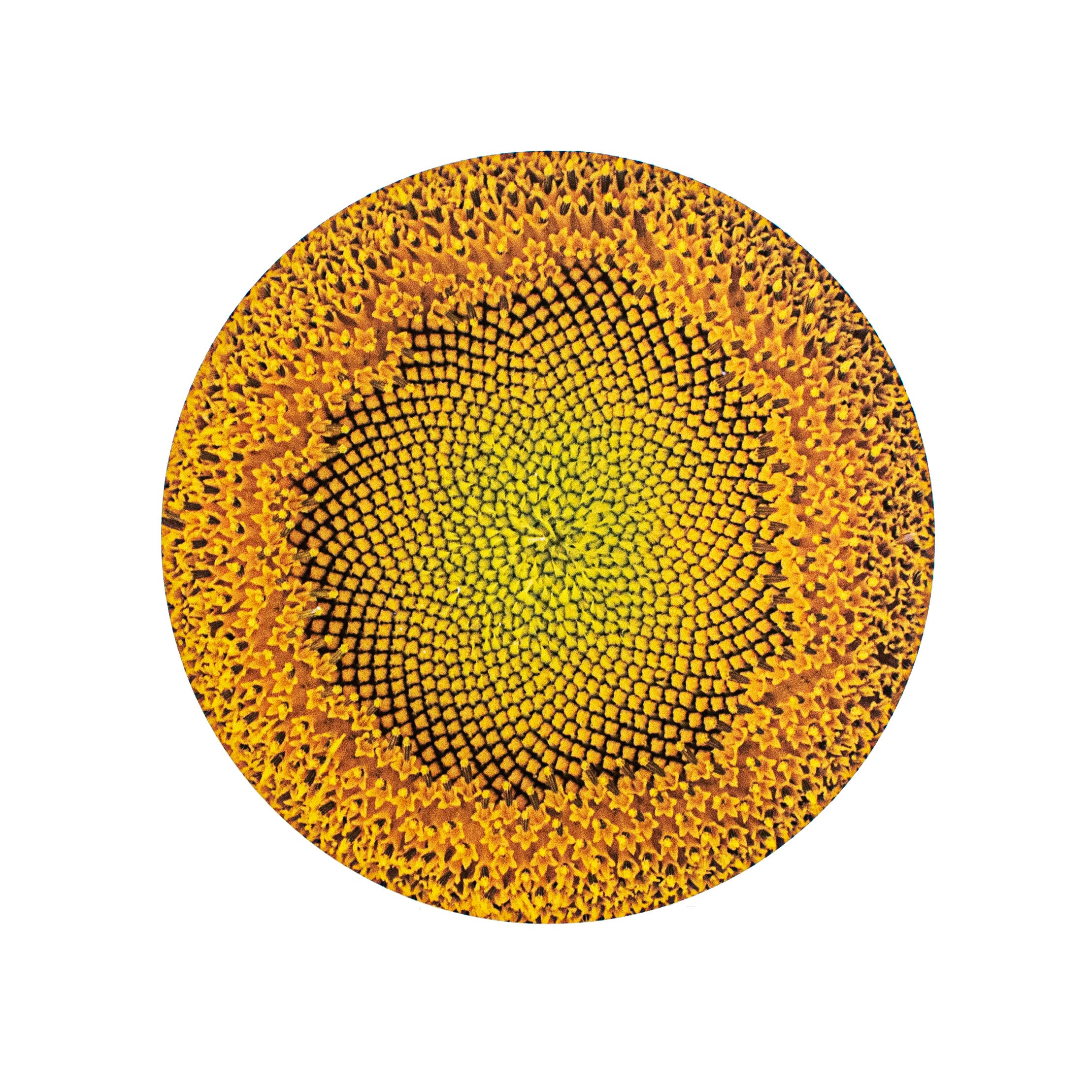 8.5" Round Waterproof Sunflower Center Item Number: CD0897NH