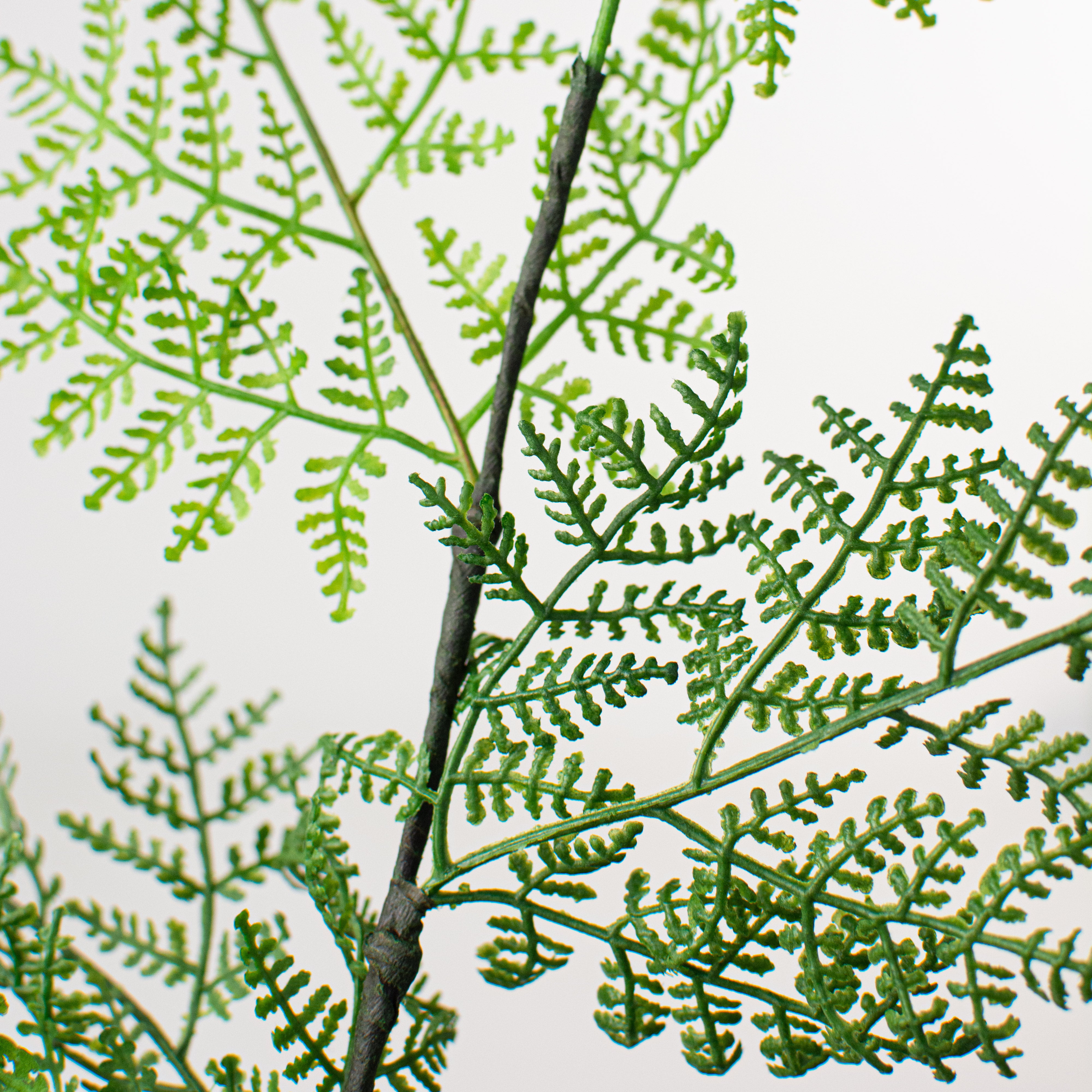 41" Ruffle Fern Spray Lifestyle Photo