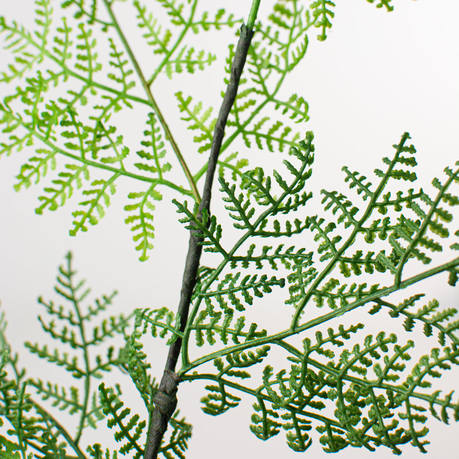 41" Ruffle Fern Spray Lifestyle Photo