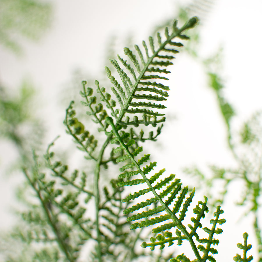 41" Ruffle Fern Spray detail photo 3