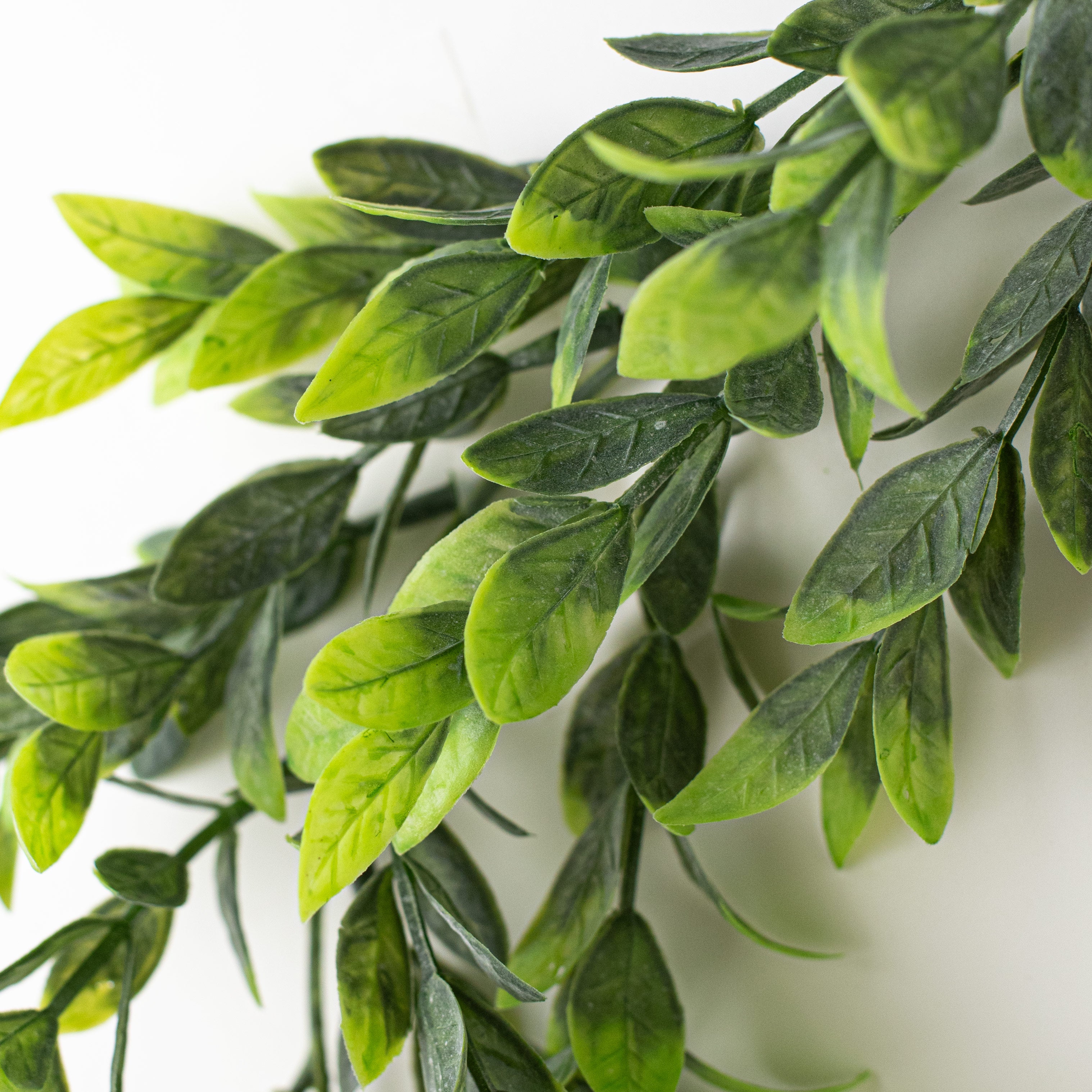 6' Ruscus Foliage Garland detail photo 3
